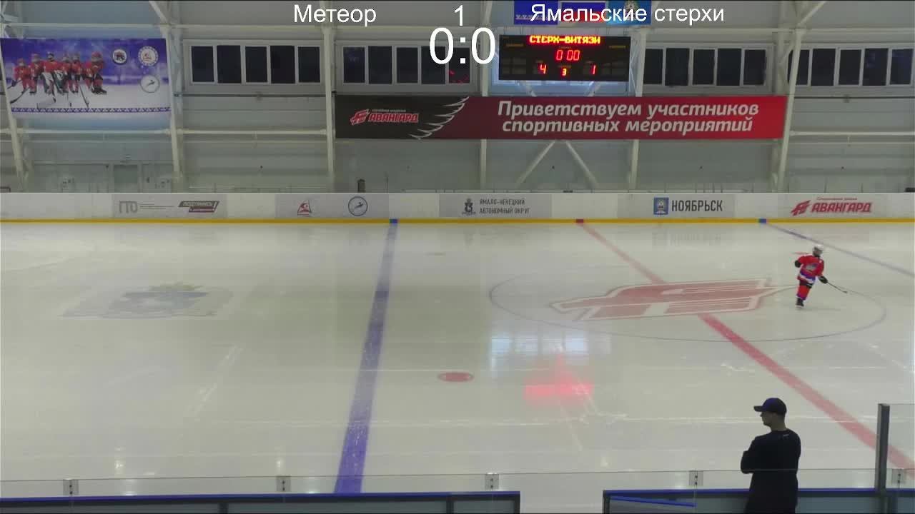 Метеор - Ямальские стерхи 25.03.2023