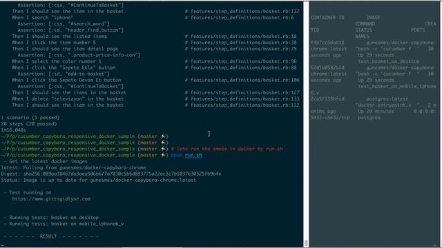 docker capybara video single and smoke parallel run