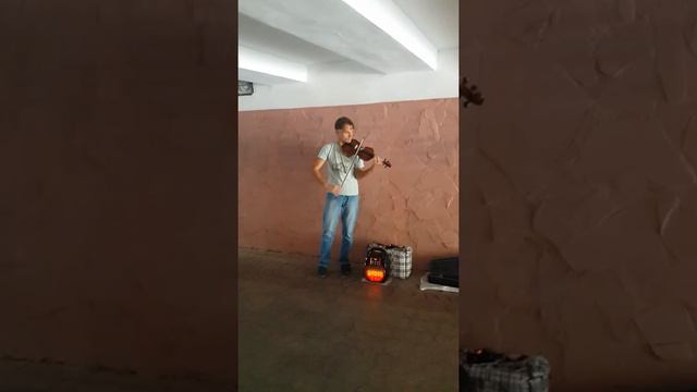 Скрипач