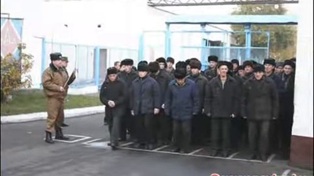 Наговицын Сергей Там на елках шишки,там медведи