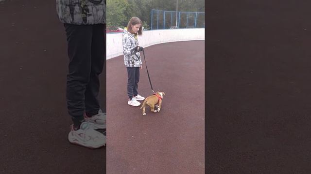 Первая прогулка Чупы