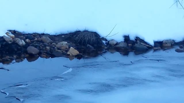 Походы за хариусом.Рыбалка красивая природа в Коми Ухта Ижма Сюзью9