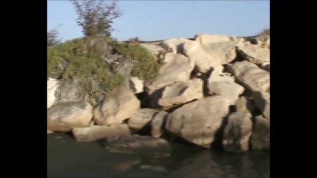 Каблук и Жирная жена