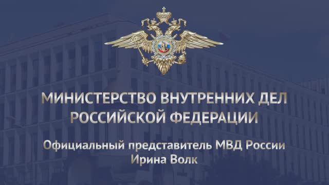 В МВД России завершен первый этап комплексной оперативно-профилактической операции «Нелегал – 2024»