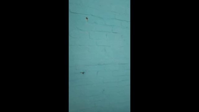 Утепление домов