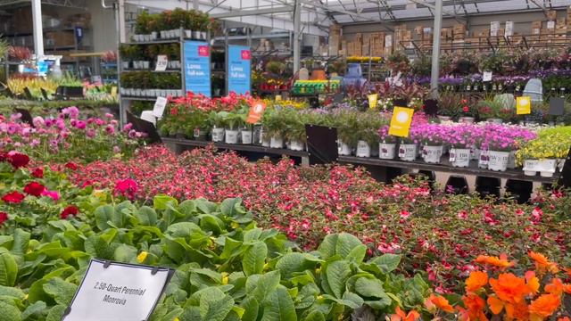 Mother’s Day Plant Shopping ♡ Buying Plants for My Mom