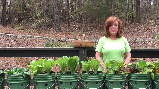 Perfect Garden Grow System for Every Situation - Even Weather!
