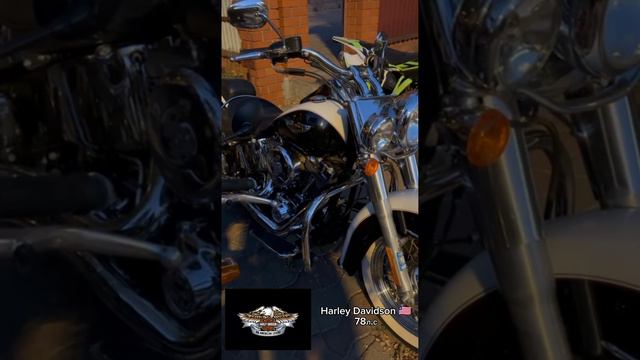 Моя мото коллекция! Ducati 999 , MV Agusta F4, Harley Davidson, Royal Enfield gt 650,Progasi.