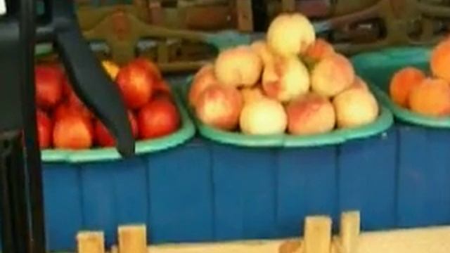 Ростов Сьемки фильма о жизни персиков донских 47 серия