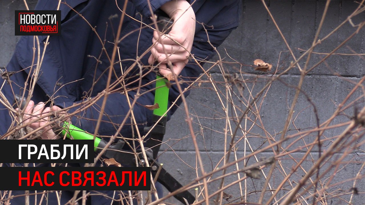Жильцы домов на проспекте Мельникова приняли участие в субботнике  360 ХИМКИ
