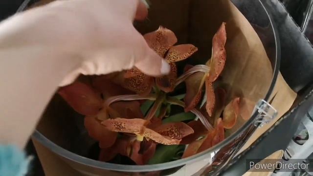 #Цветочныемагазины Кавказских Минеральных Вод