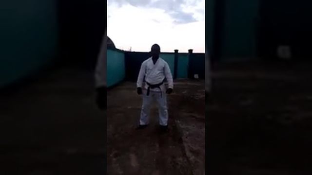 Comment devenir expert en Karaté