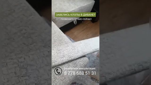 Завелись клопы в диване? Позвоните нам !