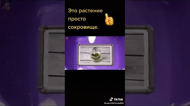 О народной медицине...