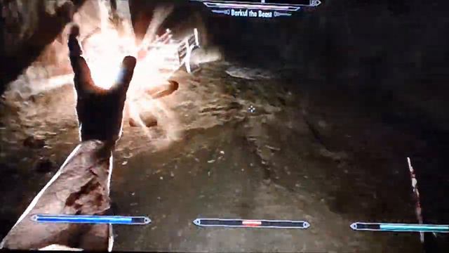 Skyrim : Prison Life