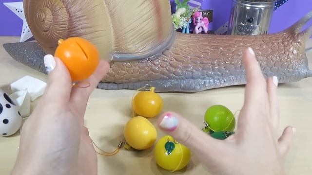 What's Inside Huge Squishy Snail Toy! Snail Slime! Homemade Squeeze Toy