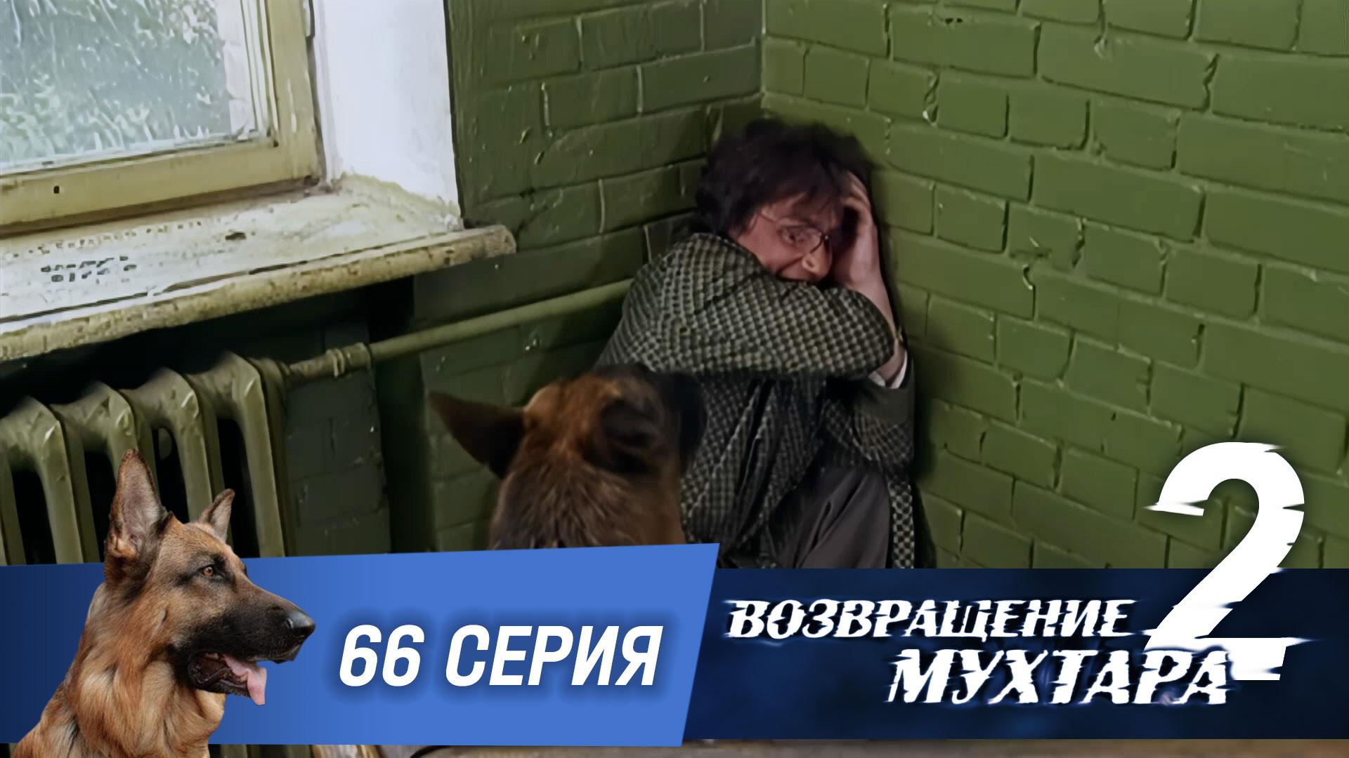 Возвращение Мухтара  2. 66 серия. Клуб анонимных алкоголиков