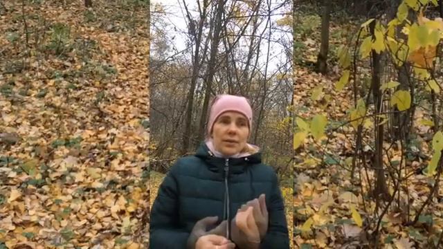 Отзыв Юлии Соловьёвой, мамы шестерых детей о Школе "Мудрость трав".