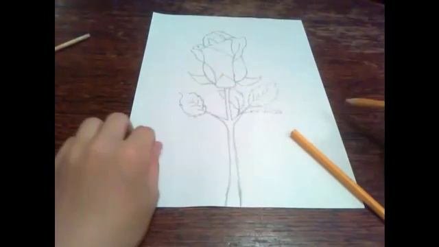 Как нарисовать розуHow to draw a rose