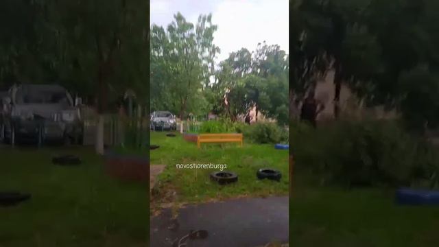 На улице Чебеньковской упало дерево