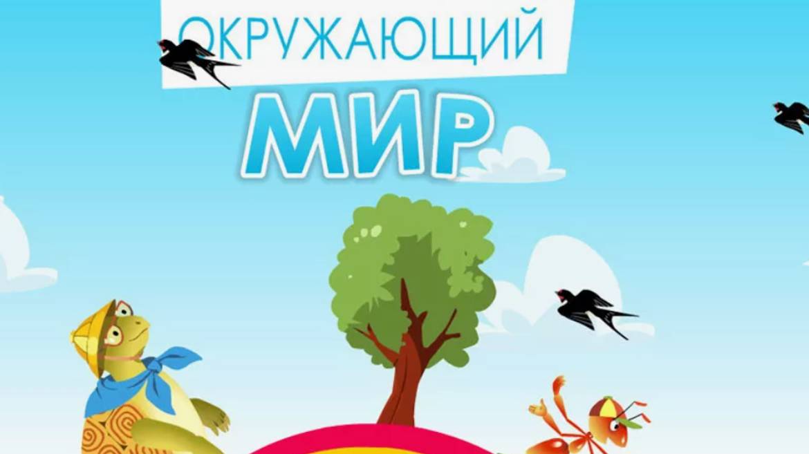 Окружающий мир и музыка