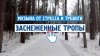 Музыка от стресса и тревоги Расслабься : Заснеженные тропы