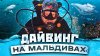 МИР без ГРАНИЦ с Сергеем Завидовым._Дайвинг на Мальдивах. Уд