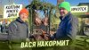 Вася накормит_Иркутск. Коптим 200 кг мяса дичи и варим суп