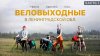 Shel travels_Велотрип выходного дня: Выборг - полуостров Кип