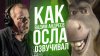 Дмитрий Череватенко_РУССКИЙ ГОЛОС ОСЛА ИЗ "ШРЕКА" — ВАДИМ АН