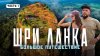 Нежный Travel_Шри Ланка. Стоит ли ехать самим в центр остров