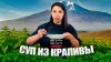 YourDay_ВЕСЕННИЙ СУП №1??? 😨😭 Его готовили в каждой дерев