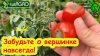 Иванова Наука_ЗАБУДЬТЕ О ВЕРШИННОЙ ГНИЛИ! Положите это в лун