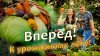 Дачный агроном_А вы готовы к урожайному лету без болезней и
