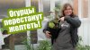 Антонов Сад_6 причин, почему ЖЕЛТЕЮТ ЛИСТЬЯ ОГУРЦОВ