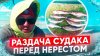 EDWARD KOSICHKA_САМЫЙ УЛОВИСТЫЙ СИЛИКОН ДЛЯ СУДАКА. РАЗДАЧА