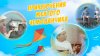 Летние каникулы_Приключения желтого чемоданчика