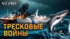 ЧТИВО_Тресковые войны