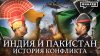 МИНАЕВ LIVE_Индия и Пакистан
