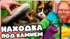 Обрезки T2x2_Я ПЕРЕВЕРНУЛ 100 КАМНЕЙ В ЛЕСУ