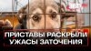 Телеканал 360 Приставы спасли 30 кошек