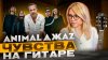 SKRIPA  Animal ДжаZ - Чувства на гитаре БАРРЭ