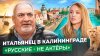НЕАПОЛИТАНСКИЙ МУЖ: европейские пенсии, цены на бензин и рус
