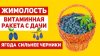 Здоровьесберегающий канал_Почему жимолость