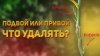 CitrusParadise_Подвой и привой