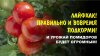 БашИнком_Борогум и Богатый