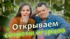 Дачный агроном_Когда сажали эти огурцы