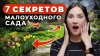 Мой Дом и Сад 3D_ПУСТЬ СОСЕДИ ОБЗАВИДУЮТСЯ