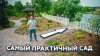 MelardiStudio_САМЫЙ ПРАКТИЧНЫЙ САД