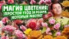 Русский Огород_МАГИЯ ЦВЕТЕНИЯ